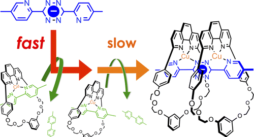 Double switching of two rings in palindromic [3]pseudorotaxanes: Cooperativity and mechanism of motion